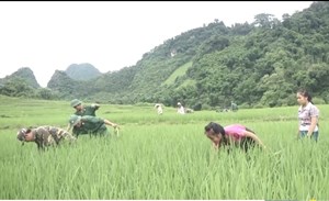 Biên phòng Thanh Hoá: Những mô hình thắm tình quân dân (01+02/06/2024)